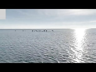 Miniatura de amateur big ass wife gets fucked in the romantic sunsetetsonh